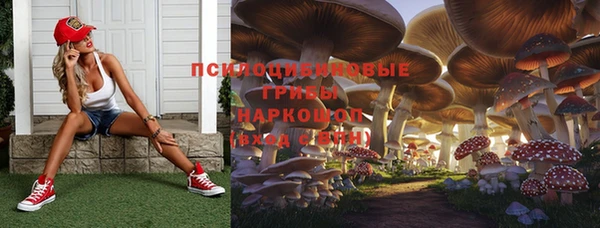 прущие крисы Семикаракорск
